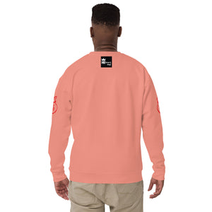 H & K Level Up Premium Sweatshirt